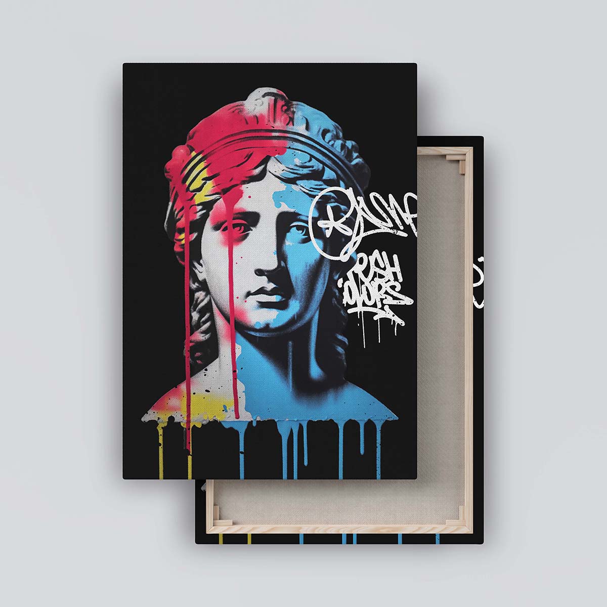 "Vandal Nemesis" canvas print