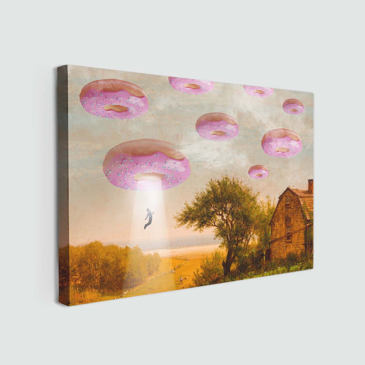 "Donut Invasion" canvas print