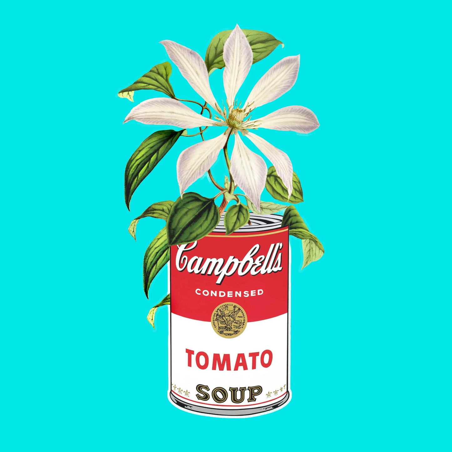 "Floral Campbells" canvas print