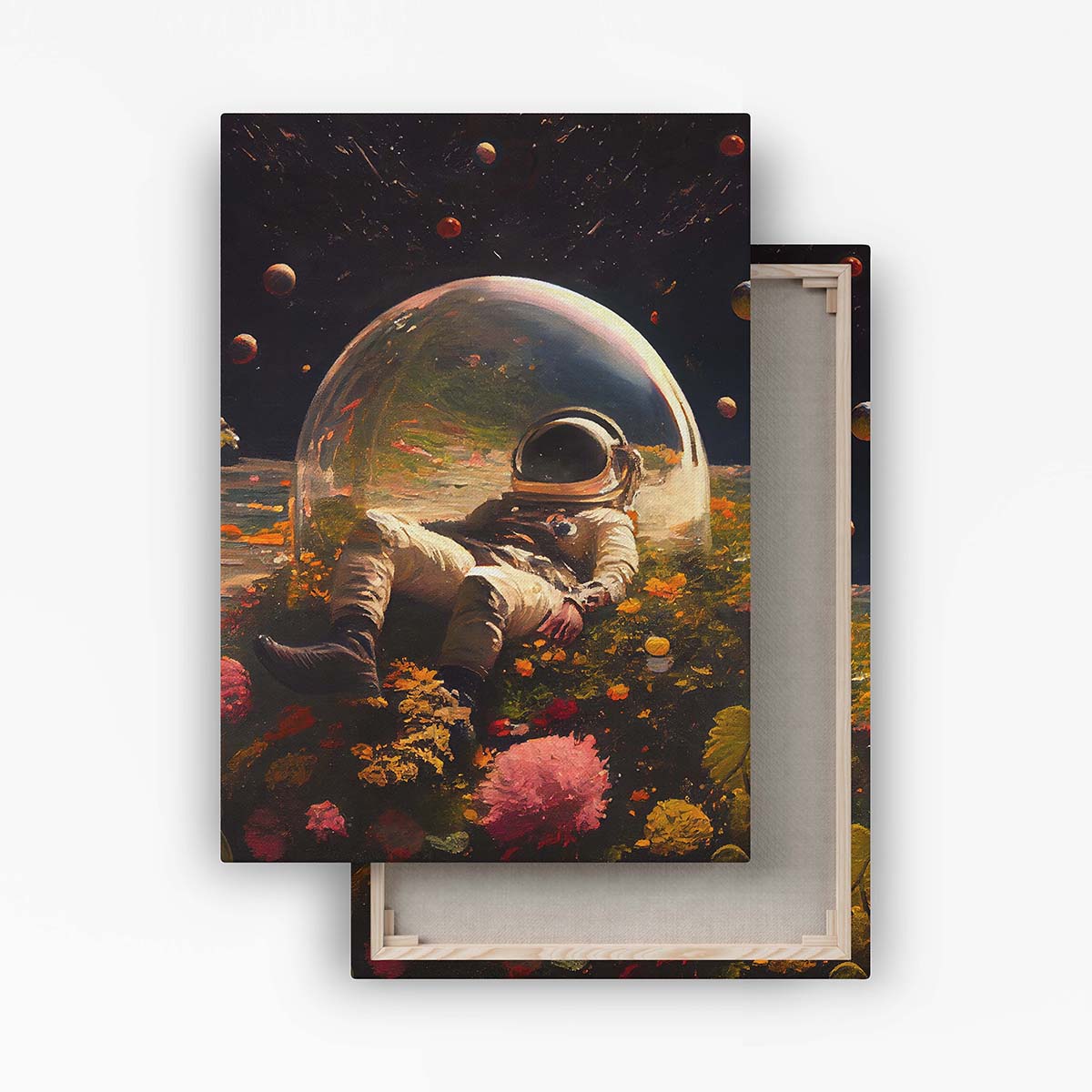 "My Space Observatory" canvas print
