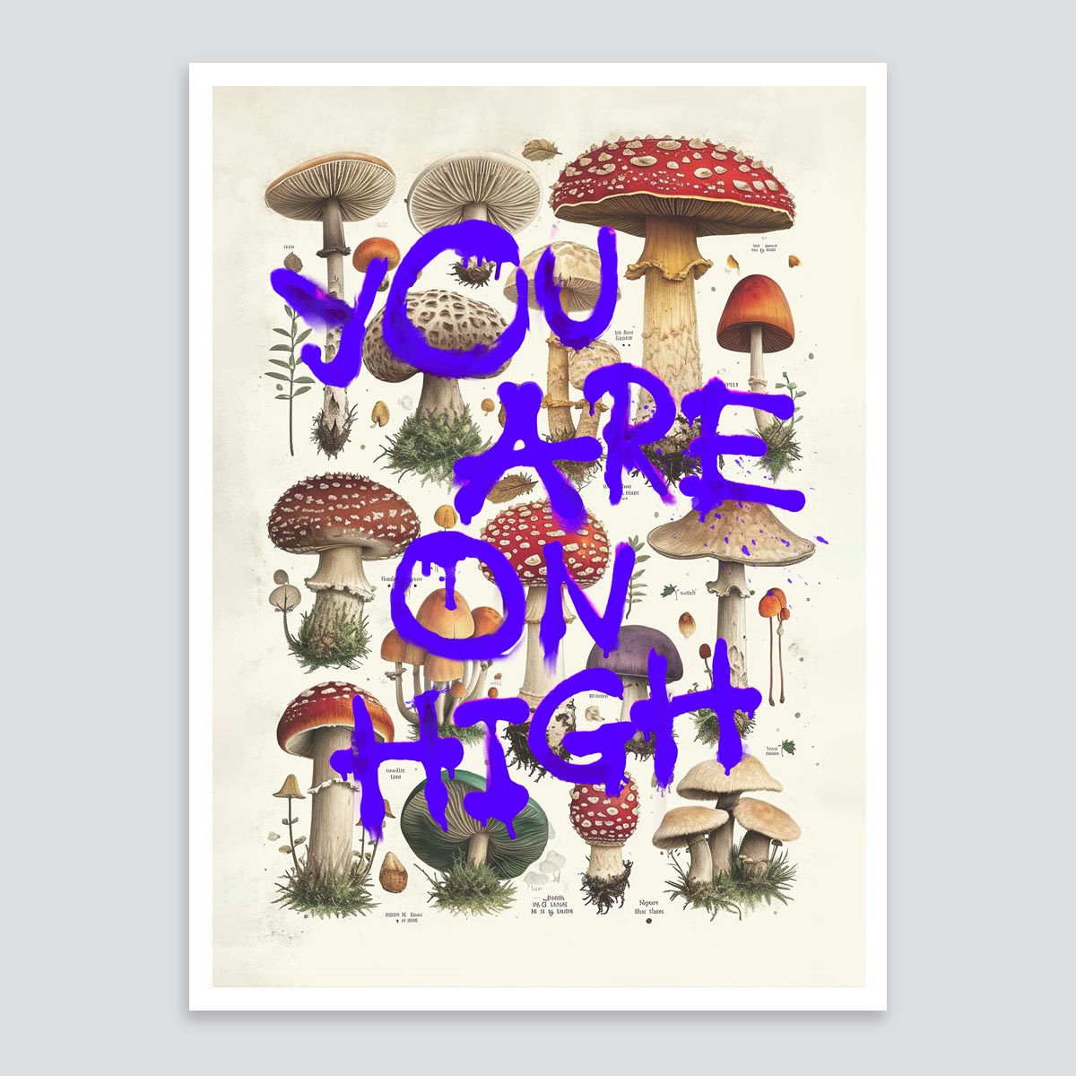 "You Are On High" fine art print